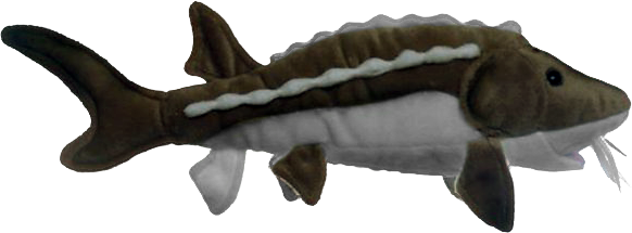 Sturgeon Plush