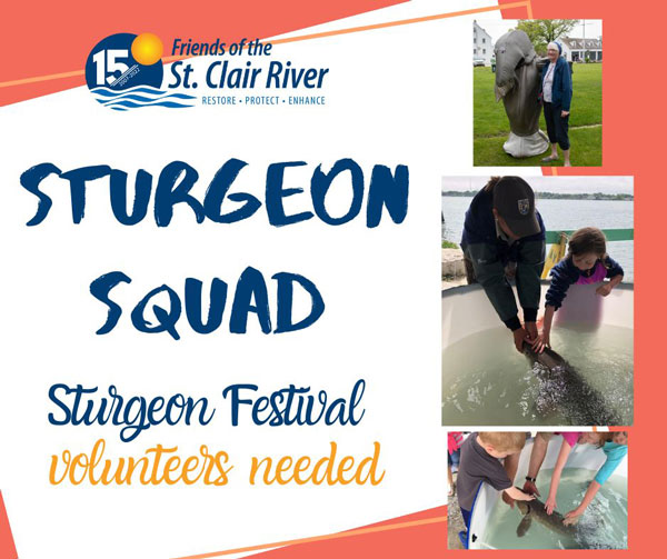 SturgeonVolunteers