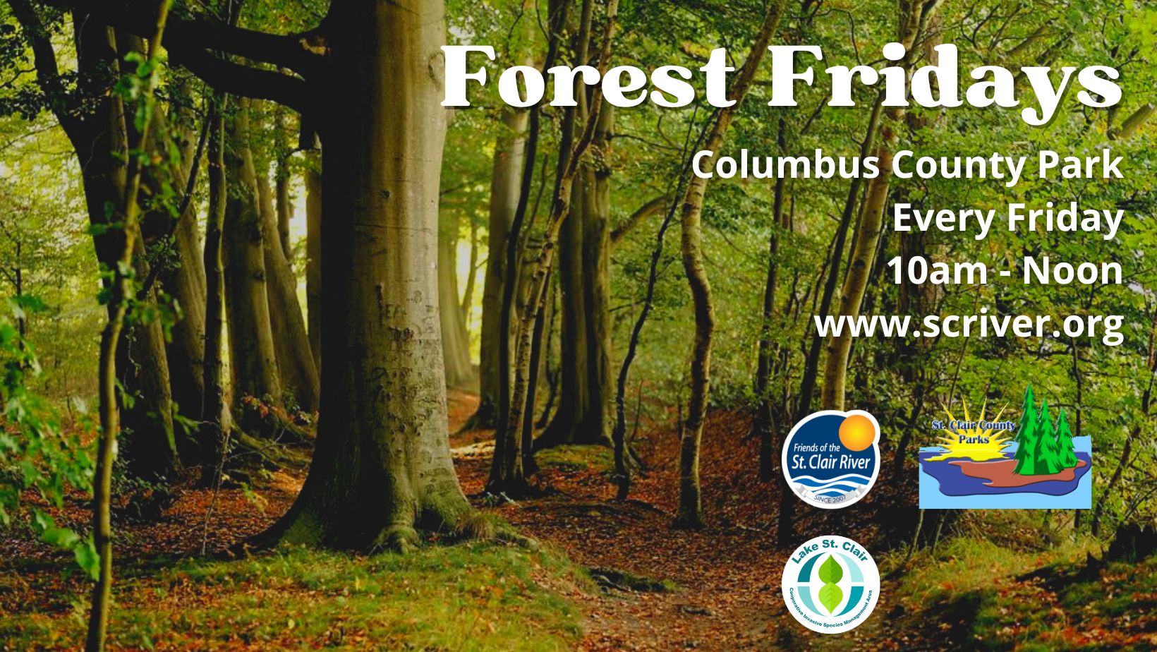 Forest Fridays Fall 2022